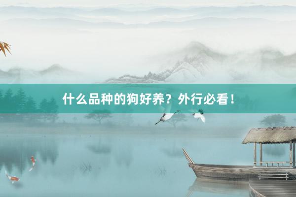 什么品种的狗好养?外行必看!
